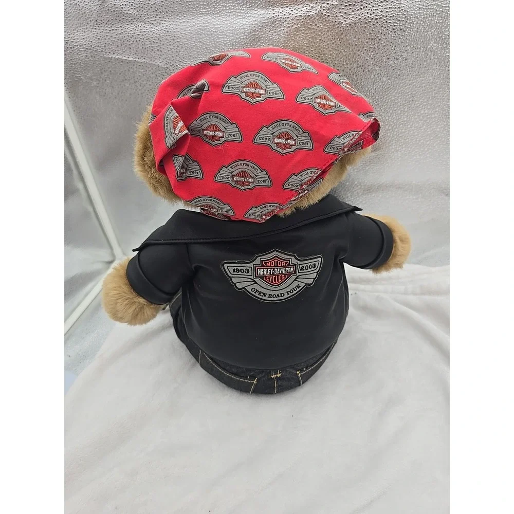 N/A harley davidson